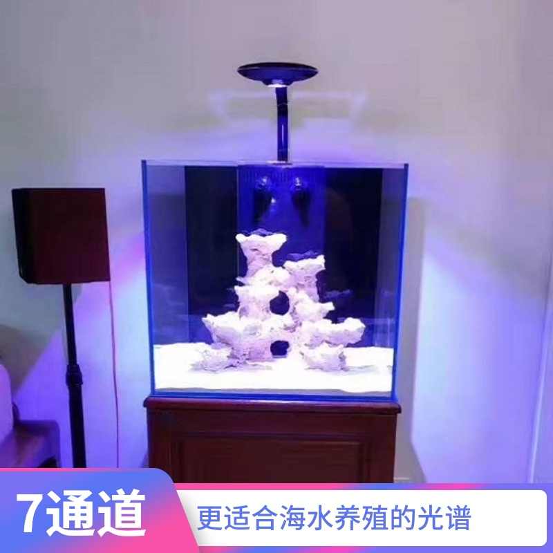海水魚燈具led 新人首單立減十元 21年7月 淘寶海外 海水魚燈具led 新人首單立減十元 21年7月 淘寶海外