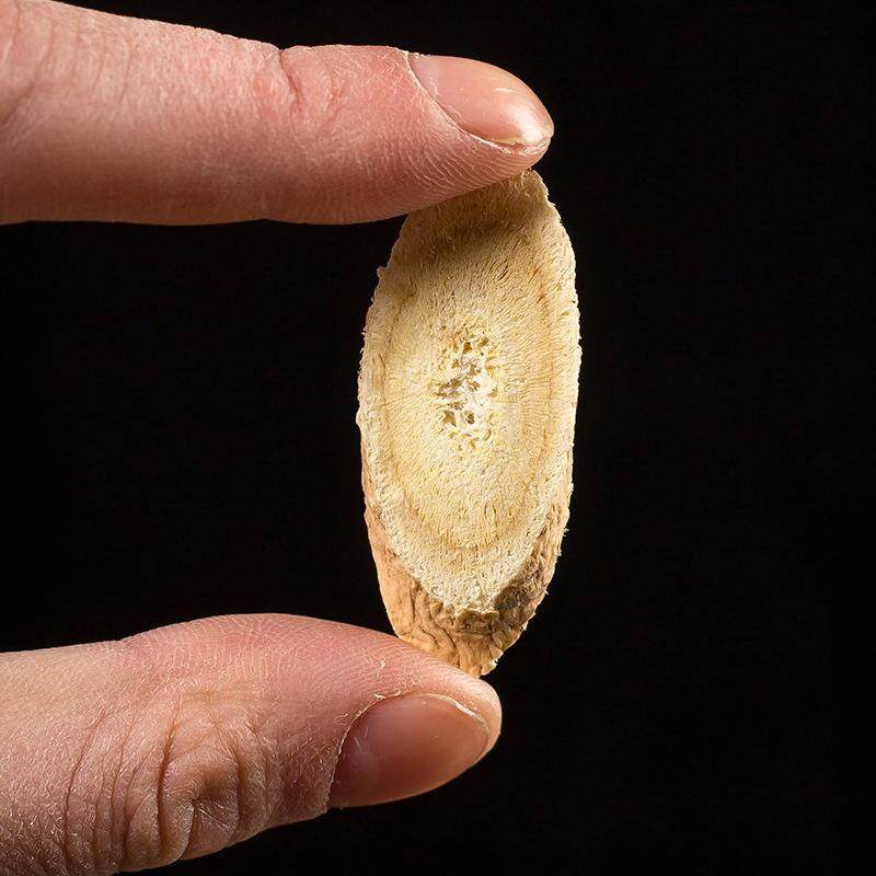 特级大片黄芪500g野生大黄芪正品中药材北芪片天然当归党参茶泡水,淘宝优惠券,粉丝福利购,淘宝优惠卷