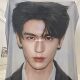 Zhang Linghe blanket celebrity peripheral office nap blanket