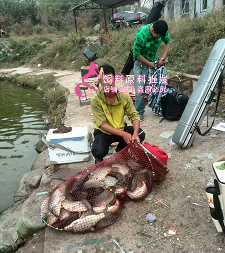 现磨蚕蛹粉南极虾粉垂钓鱼饵黑坑水库野钓添加剂通用diy鱼食窝料 - 图2