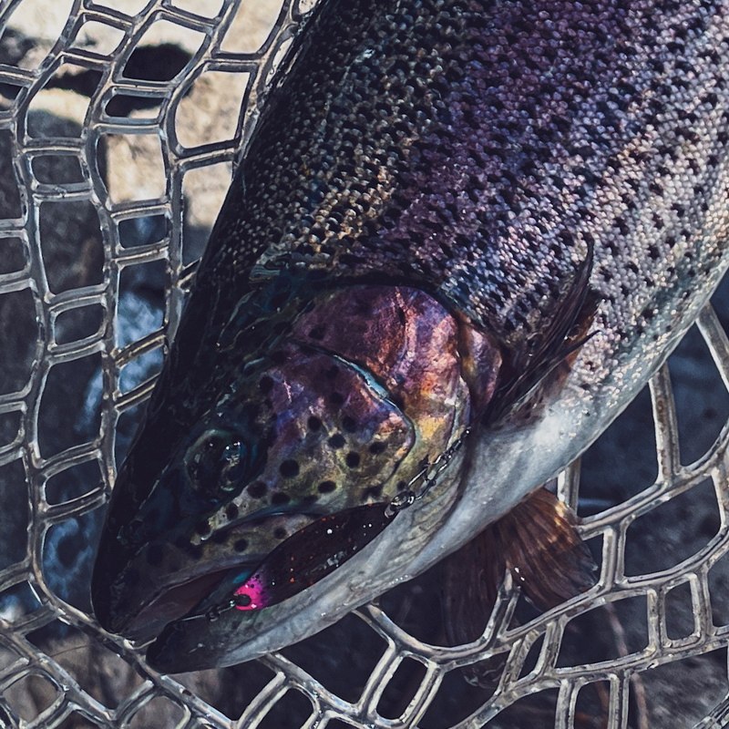 暗涌路亚 3.3g哑光缤纷色冬季马口鳟鱼虹鳟军鱼路亚亮片出口日本,淘宝优惠券,粉丝福利购,淘宝优惠卷