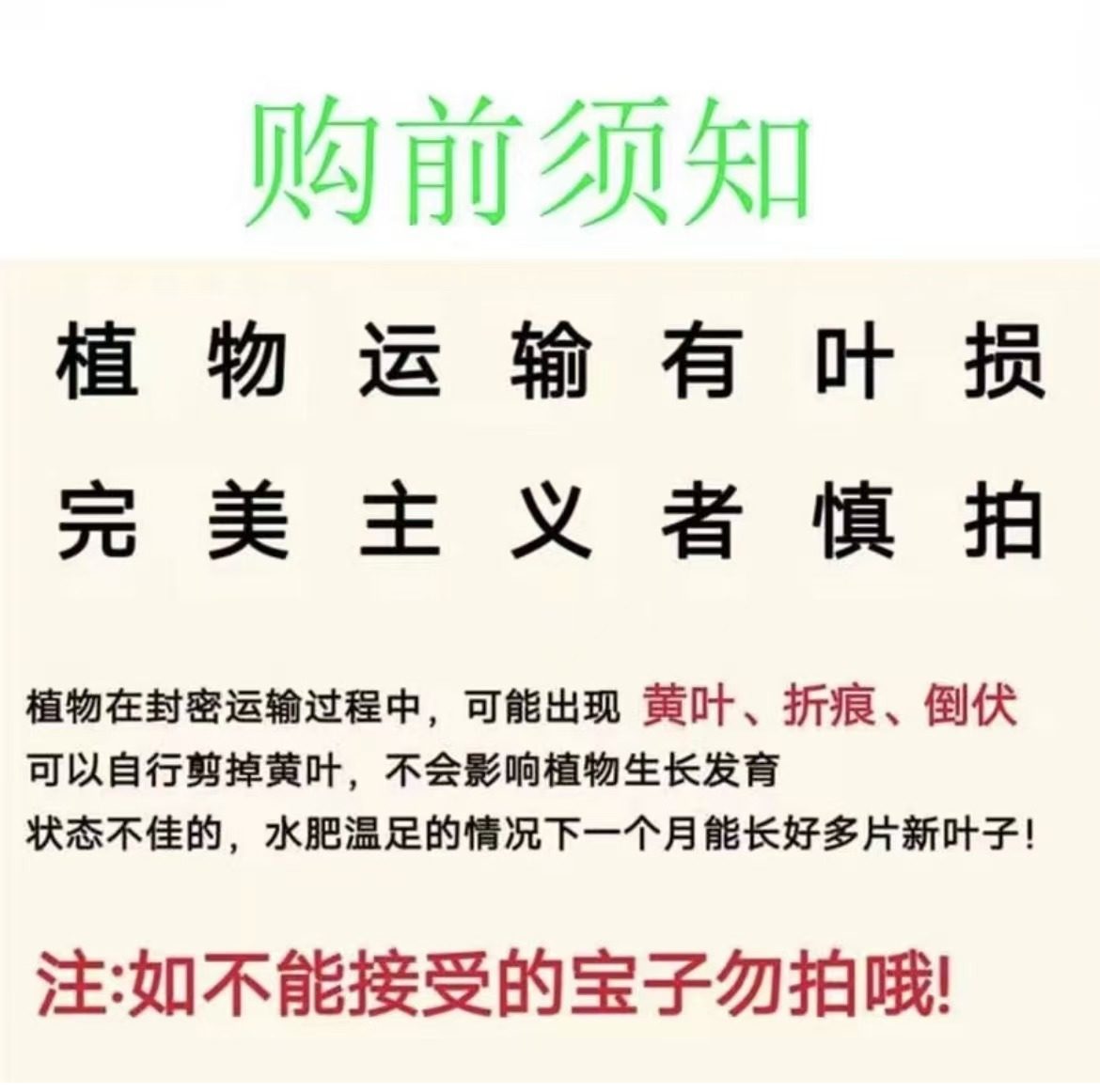 小海王不做任何售后，想好再拍,淘宝优惠券,粉丝福利购,淘宝优惠卷