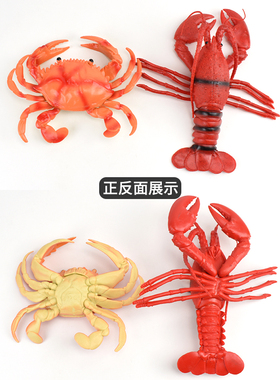 龙虾螃蟹海参鱿鱼火锅烧烤模型