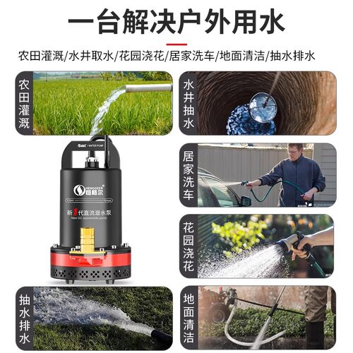 12V直流潜水泵24V48V60V72V电瓶车电动车通用浇菜农用灌溉抽水泵 - 图3