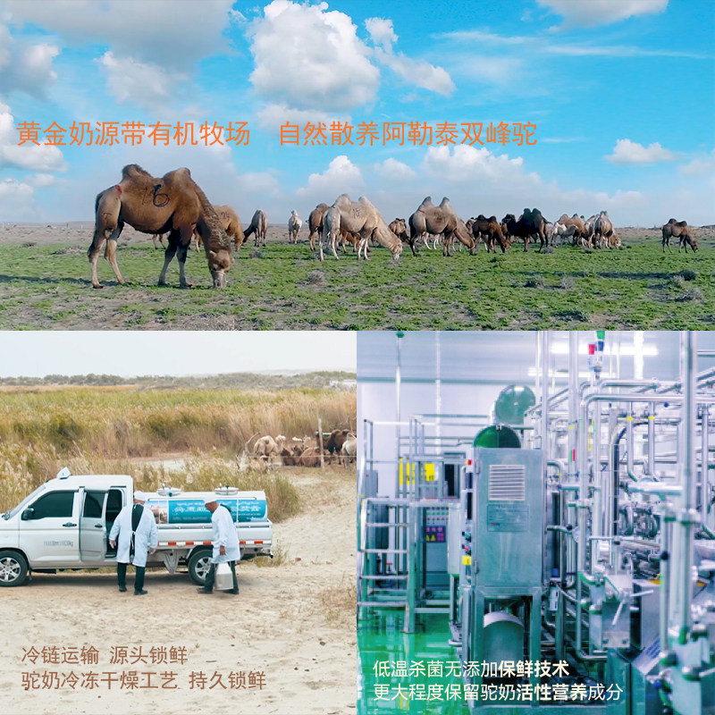 新疆旺源全脂纯驼有机骆驼学生乳粉 旺源食品驼奶及驼奶粉