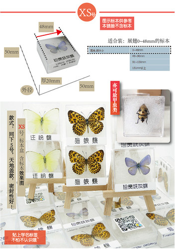 【空标本盒】亚克力材料12种全型号透明标本盒已展翅标本保存盒 - 图2