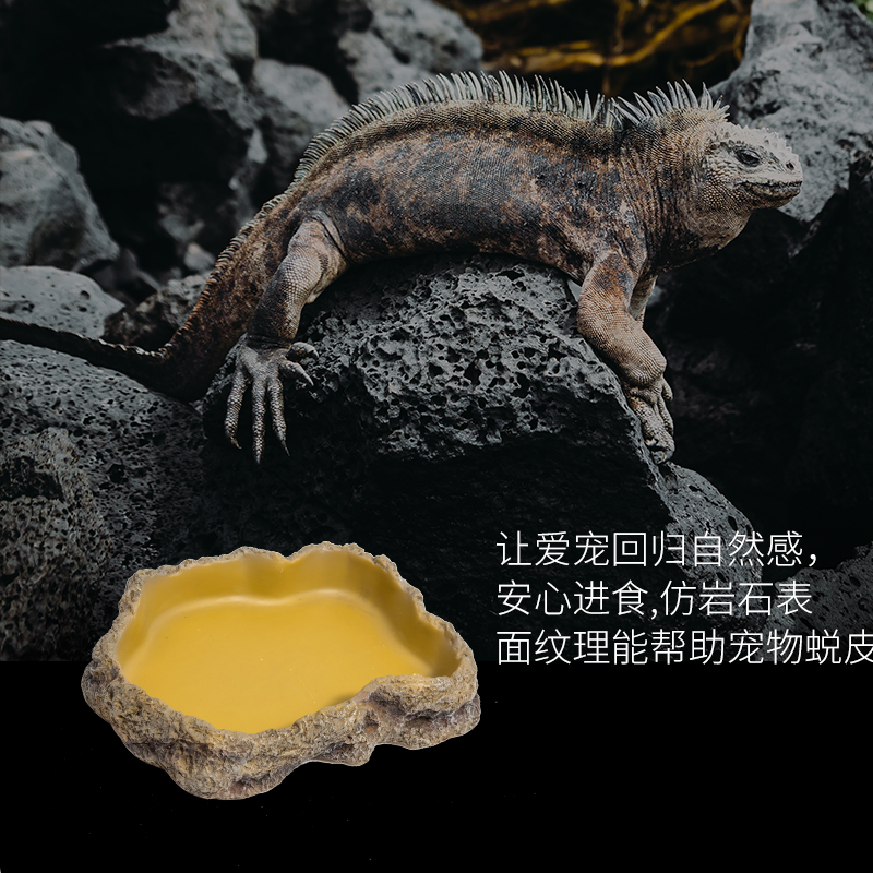 瑞皮Reptizoo树脂喂食盘造景爬宠食盆蜥蜴水盆乌龟角蛙蛇守宫爬虫 - 图1