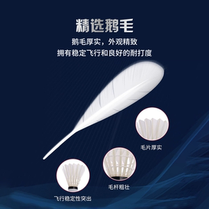 【官方正品】李宁羽毛球 耐打稳定鹅毛球G800S室内比赛训练球