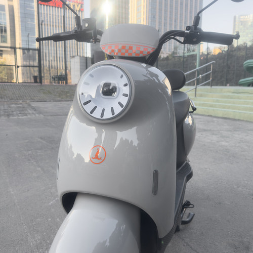 上海凤凰电动车上海包上牌照新国标电瓶车小龟王电动自行车碟刹 - 图1
