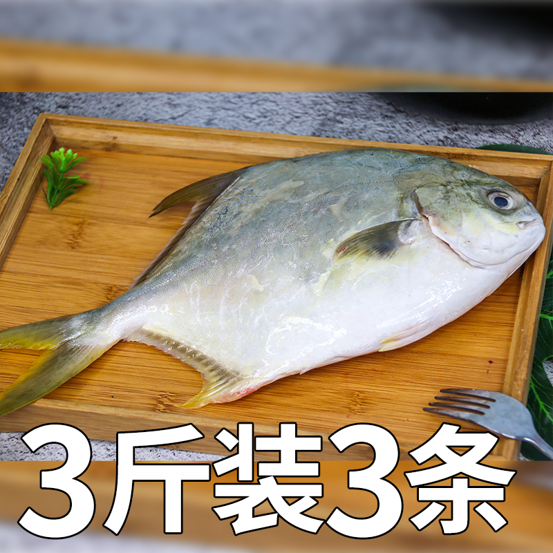 金鲳鱼新鲜冷冻特大金昌鱼海鲳鱼深海鱼平鱼海鱼鲳鱼镜鱼整箱顺丰,淘宝优惠券,粉丝福利购,淘宝优惠卷