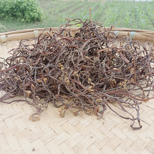 鲜嫩甜野生干蕨菜新鲜当季贵州省撅菜凉拌蕨苔农家野菜山蕨菜5斤 - 图0