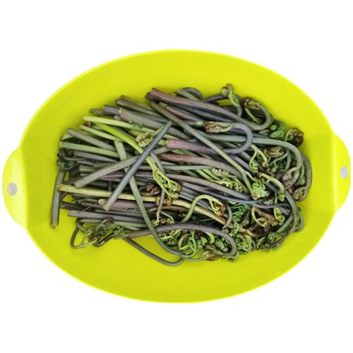 鲜嫩甜野生干蕨菜新鲜当季贵州省撅菜凉拌蕨苔农家野菜山蕨菜5斤 - 图3