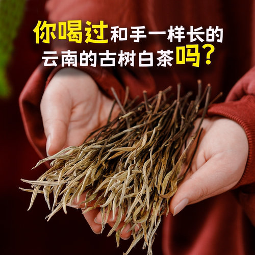 瑞相云南白茶关公刀白茶冰岛古树白茶叶品鉴甜水银针栀子月光白茶 - 图0