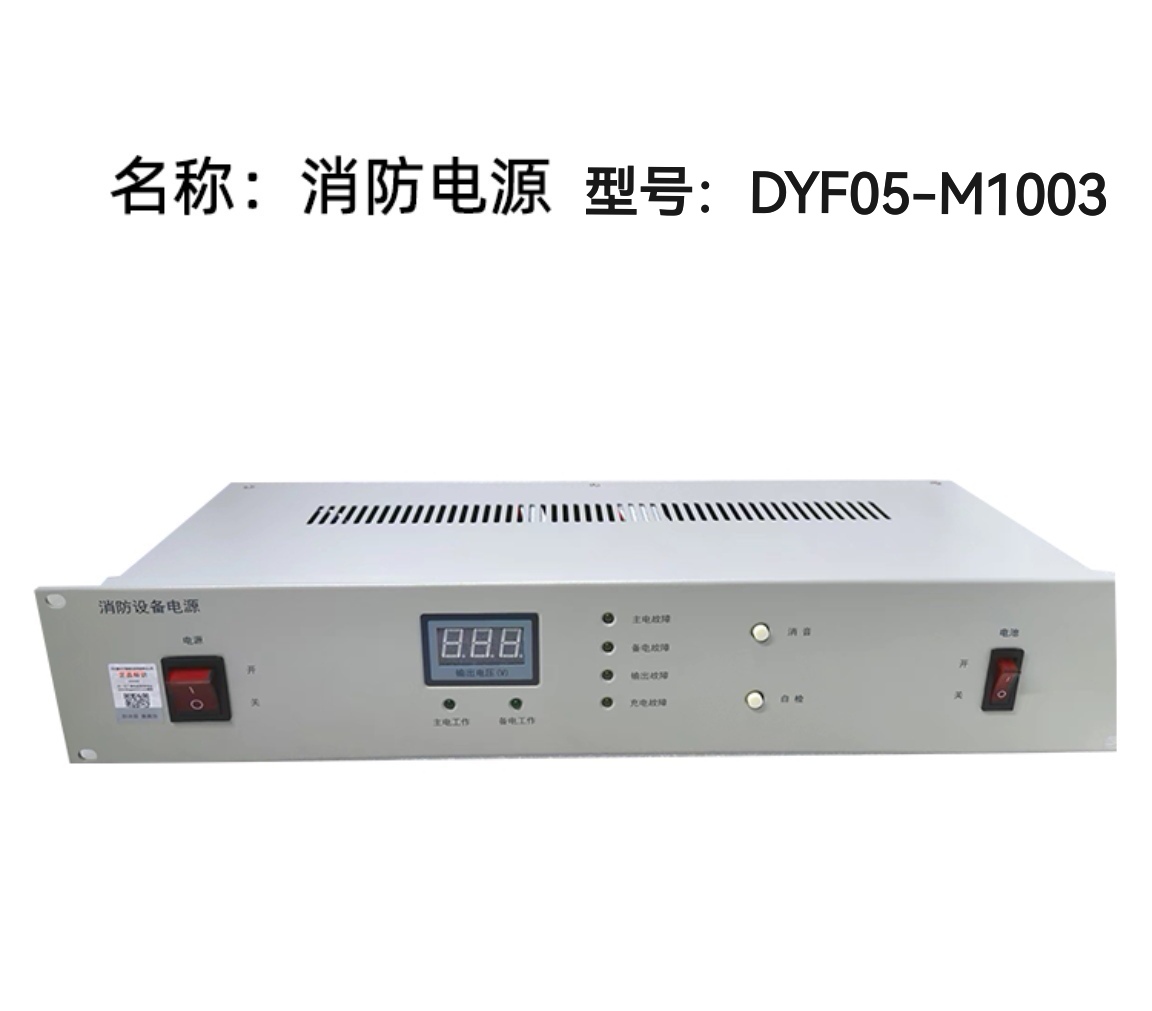 国泰怡安G6消防电源 DYF05-M1003 DYF05-M2003 DYF05-M3003 原装 - 图2