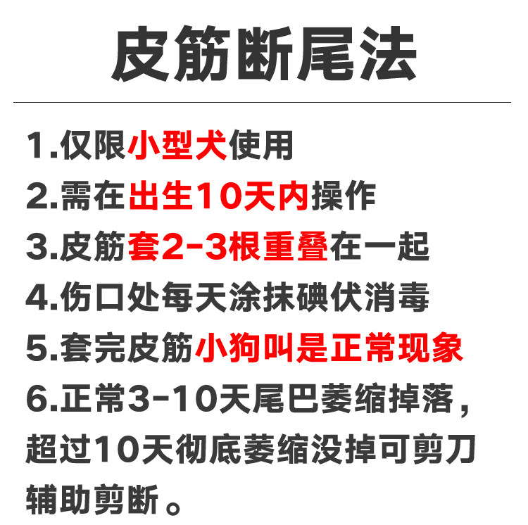 断尾器狗狗柯基泰迪狗断尾小狗断尾神器工具断尾圈皮筋宠物断尾器,淘宝优惠券,粉丝福利购,淘宝优惠卷