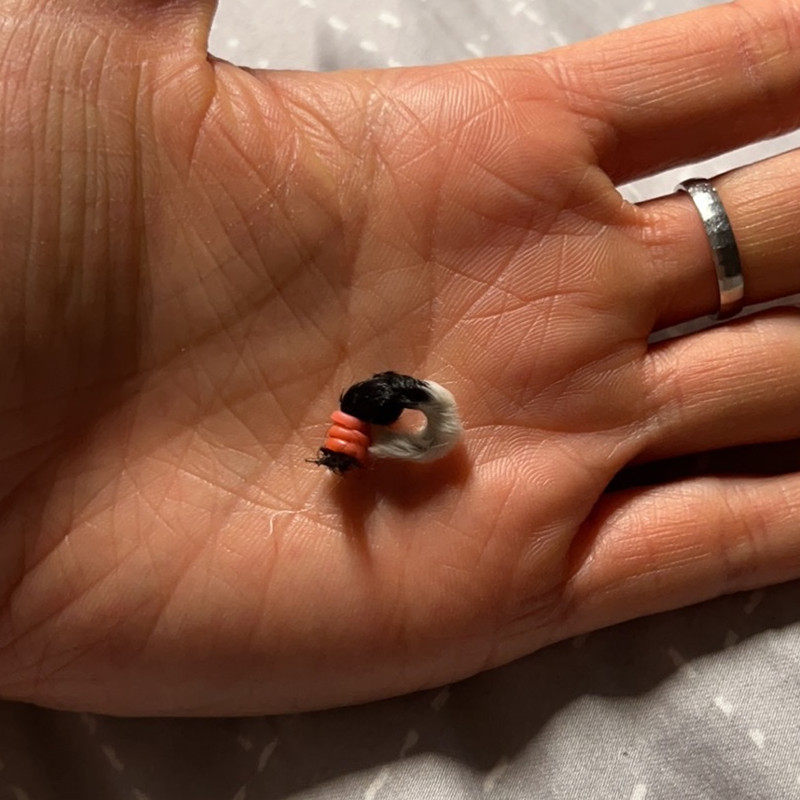 断尾器狗狗柯基泰迪狗断尾小狗断尾神器工具断尾圈皮筋宠物断尾器,淘宝优惠券,粉丝福利购,淘宝优惠卷