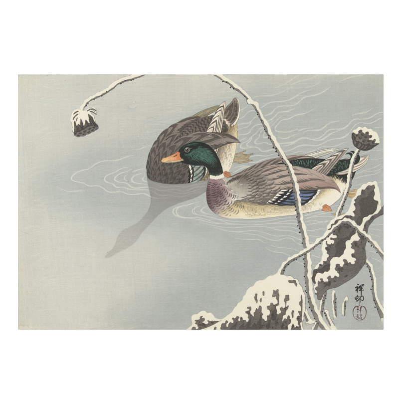 小原古邨 Ohara Koson 高清电子画册 花鸟虫鱼绘 水墨画 版画素材 - 图0