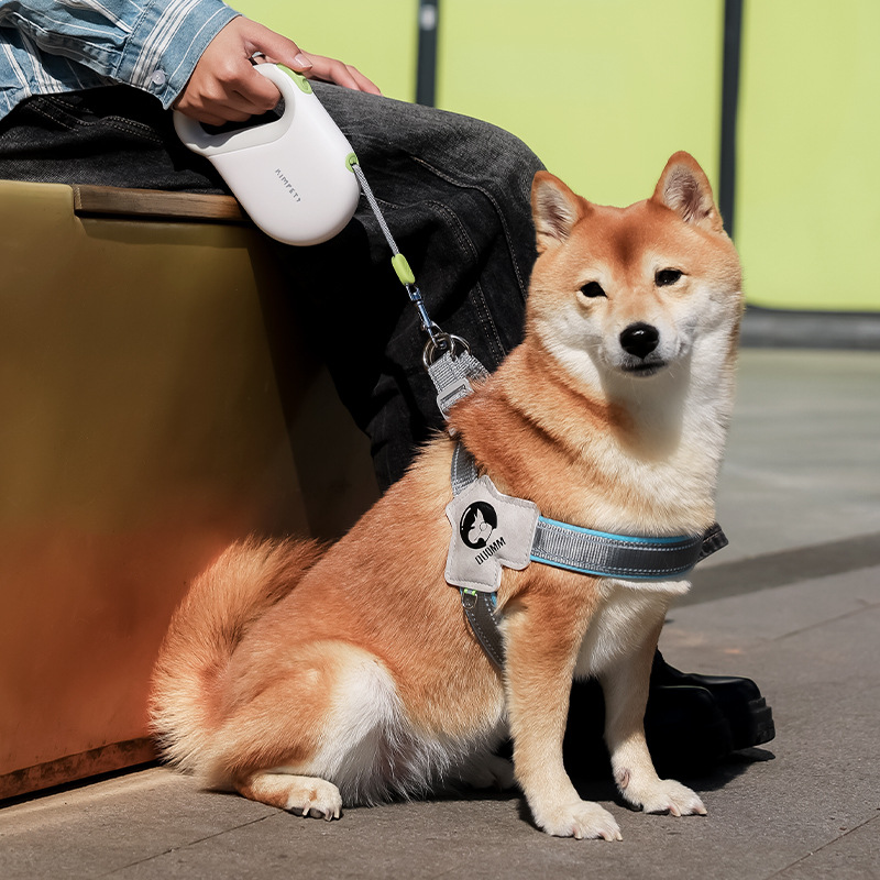 狗狗牵引绳中小型犬泰迪柯基外出遛狗绳子自动可伸缩防爆冲反光绳 - 图2