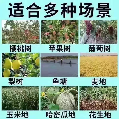 户外防鸟网果园专用网菜园神器果树大棚种植围栏鱼塘养殖防护用品 - 图1