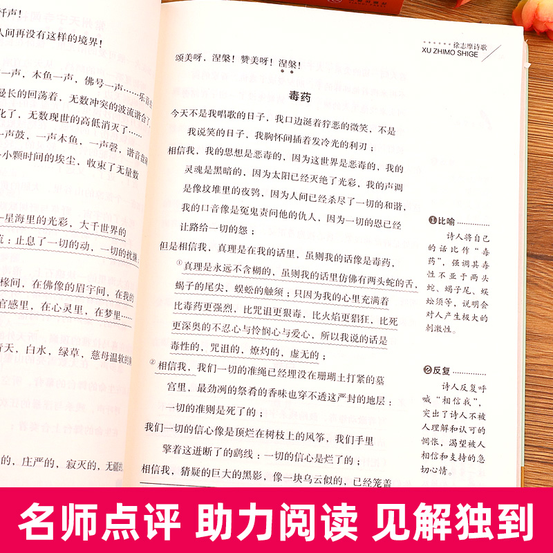 全套4册 现代诗歌精选四年级阅读课外书读必书目 繁星春水冰心艾青诗选泰戈尔诗选诗集徐志摩诗全集小学生现代诗普及读本下册书籍 - 图3