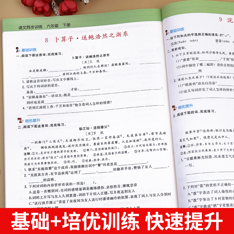 六年级下册语文同步练习册人教版小学6下学期语文教材全解阅读理解专项训练同步作文试卷字帖练习与测试一课一练学练优课课练部编-图1