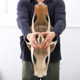 Der verdickte Kunststoffhocker hat eine Tragfähigkeit von 600 Jin, was 0,5 kg entspricht. Schäden sind garantiert.