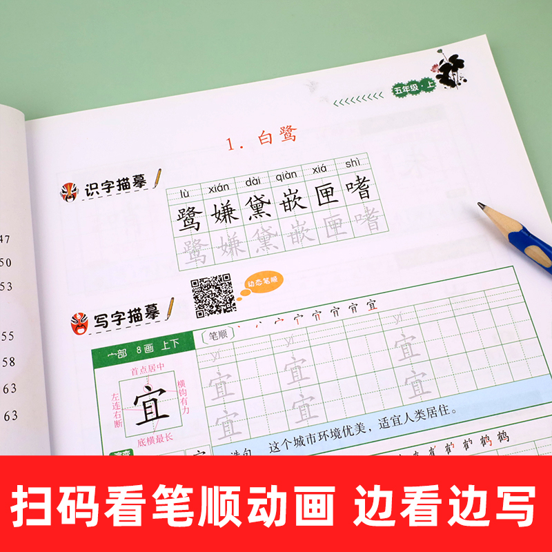 五年级上册字帖同步练字帖语文人教版部编版 正楷字帖小学生5年级课本作业控笔训练本汉字描红临摹本笔顺笔画楷书汉之简写字天天练