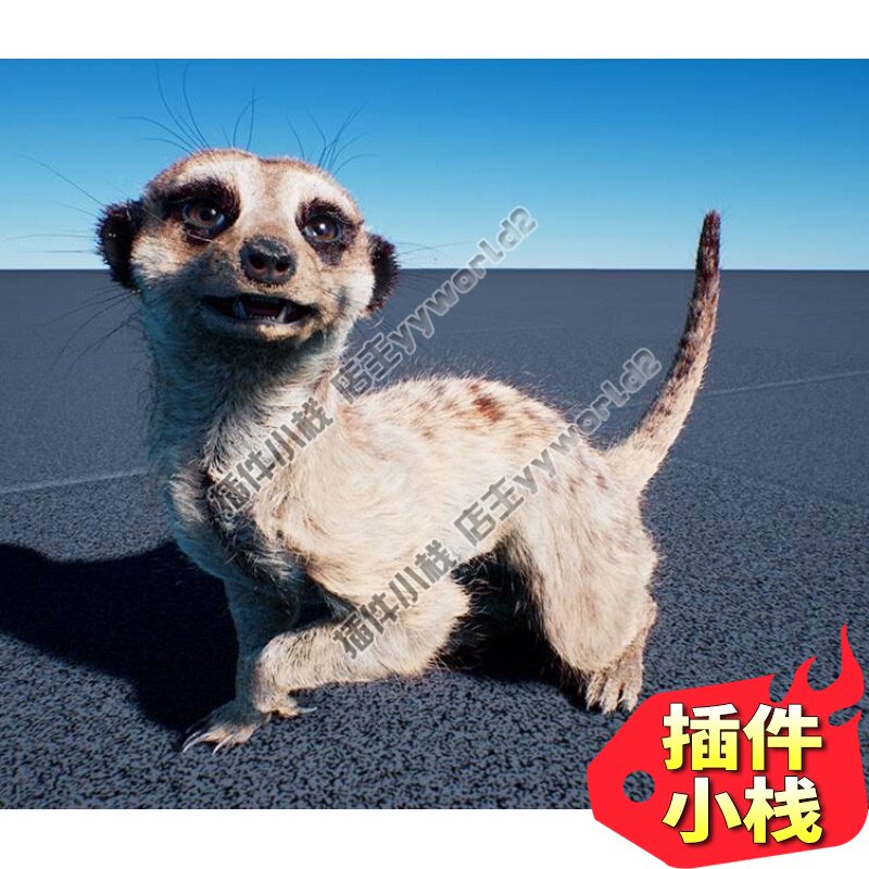 猫鼬动物 新人首单立减十元 21年8月 淘宝海外