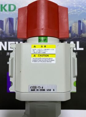 现货 CKD残压排气安全阀V3000-10-W V3000-15 V3000-15-W-X1 V301