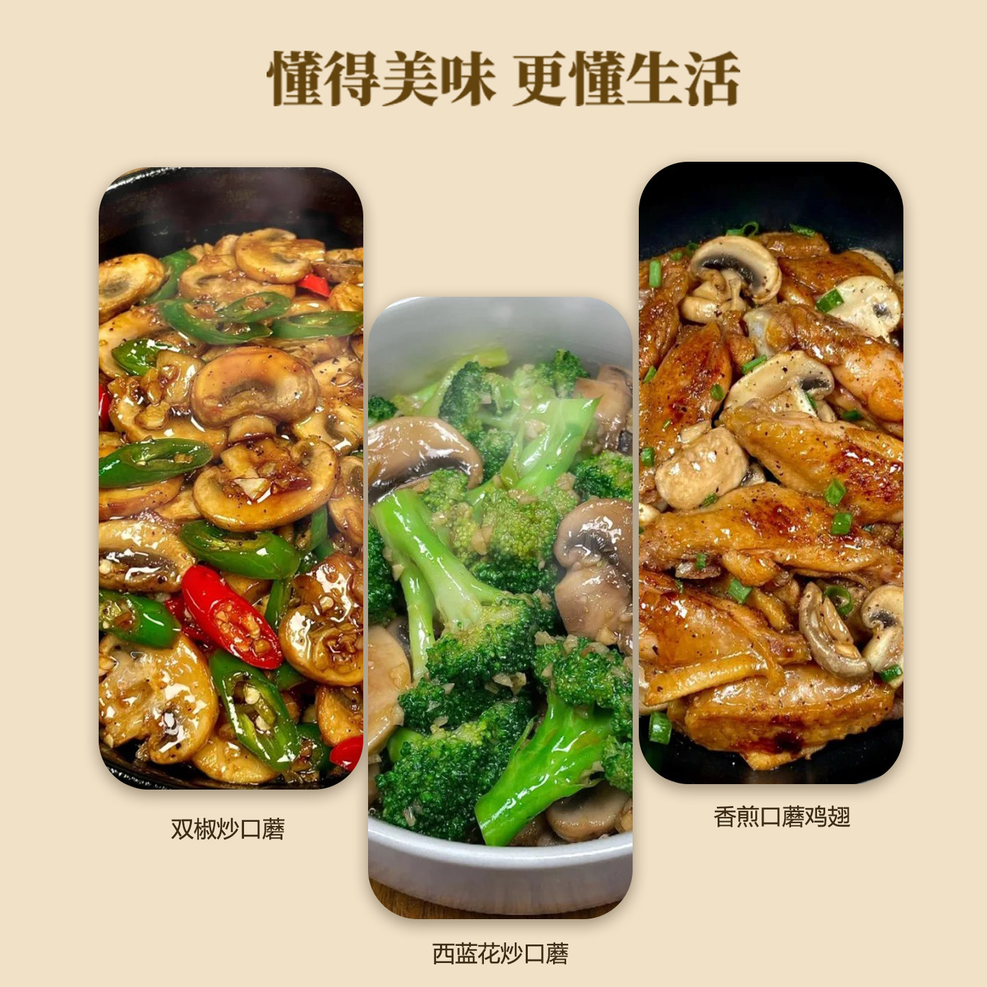 陇谷传说口蘑菇干货口蘑干口蘑新鲜菌菇甘肃陇南白蘑菇煲汤食材
