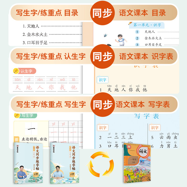 Primary school students' MoDian People's Education Edition Chinese language synchronous practice calligraphy