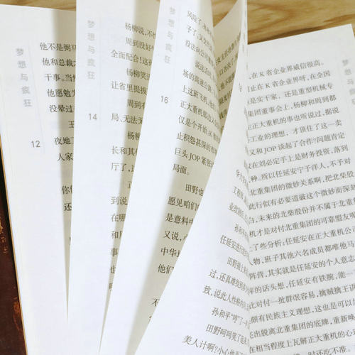 梦想与疯狂周梅森著批判现实主义揭示资本内幕和资本人格人民的名义前传权力我主沉浮天局中国制造荣耀官场反腐小说作品集书籍 - 图1