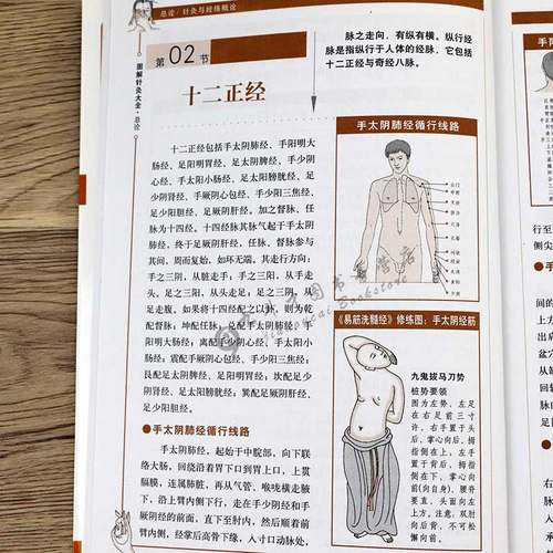 图解针灸大全/中医经络穴位正版书针炙学全书入门刺血疗法全一针疗法马氏温灸法黄帝内针灸绳基本功大成甲乙经针灸秘验与绝招书籍 - 图2