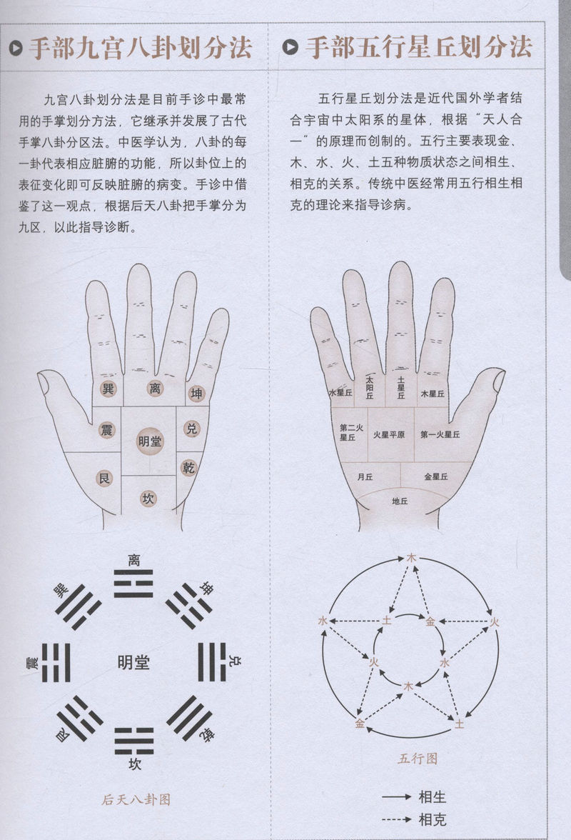 【3本49】图解面诊手诊速效自疗/55种常见病症诊断自疗一学就会对症手诊百病消中医望诊与舌诊彩色谱李阳波中医望诊讲记观外识内疾 - 图3