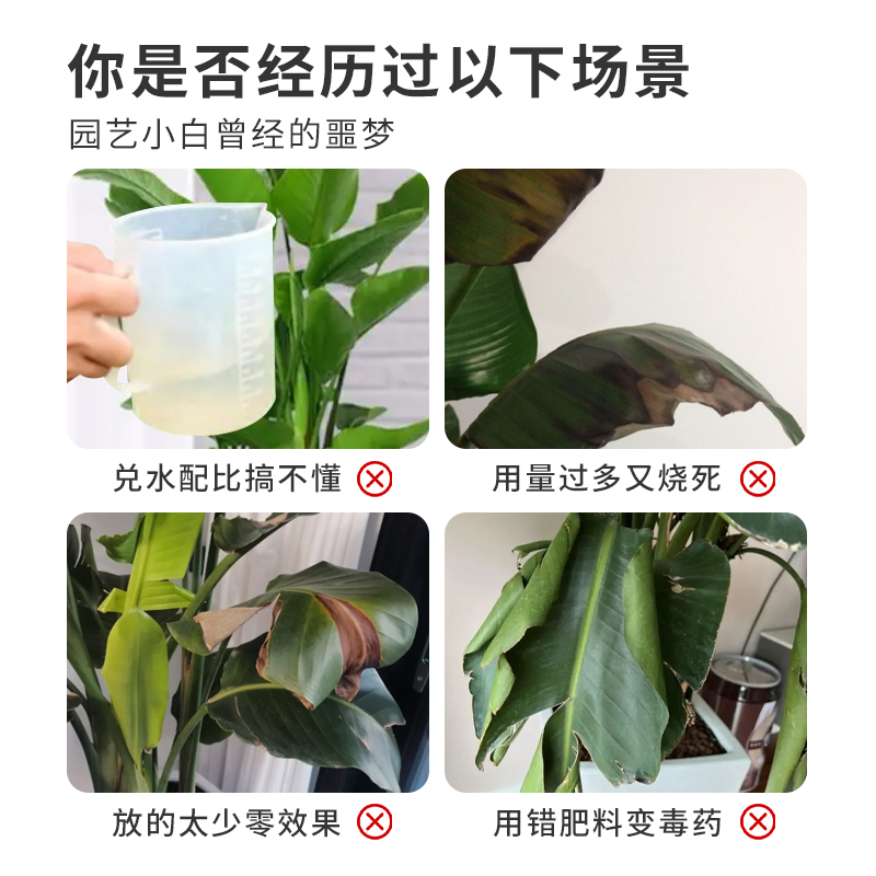 绿植通用营养液黄叶卷边通用天堂鸟富贵竹绿萝专用营养素有机肥料 - 图0