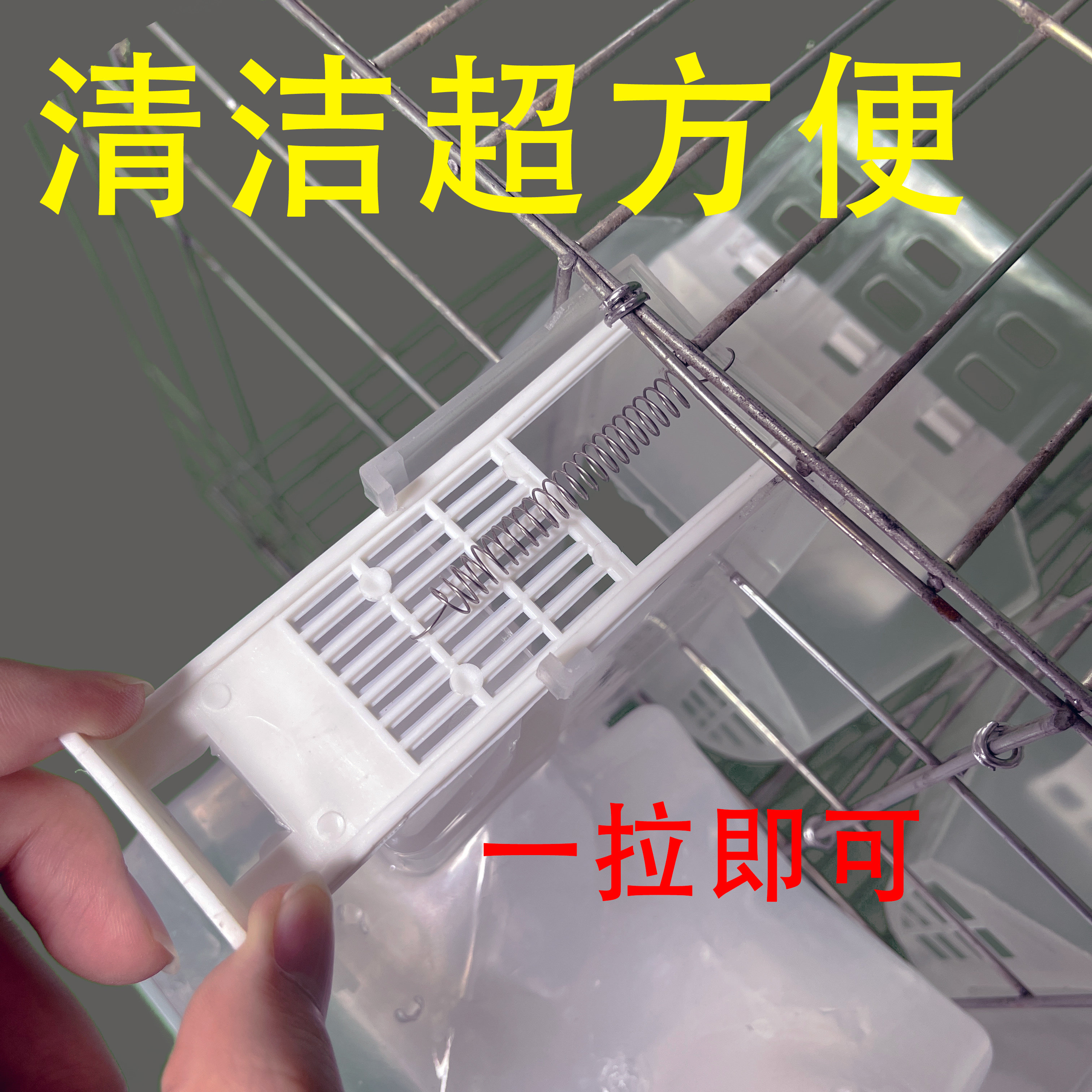 肉鸽鸽子新款双口自动塑料料盒食槽防撒不堵透明结实加大容量加厚,淘宝优惠券,粉丝福利购,淘宝优惠卷