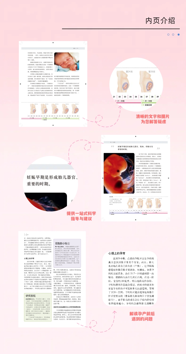 【官方正版】DK0-1岁育儿关键期+DK家庭中的蒙台梭利早教（全二册）权威解析0~6岁儿童敏感期，帮助我们用更科学的方式抚养孩子 - 图0