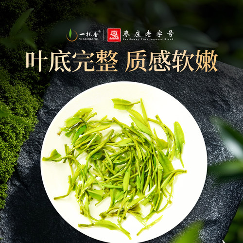 2026新茶一杯香明前云雾绿茶茶叶500g自己喝春茶浓香官方旗舰店 - 图2