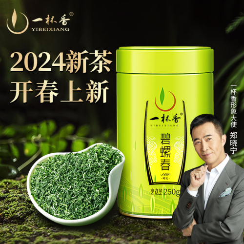 2024新茶上市一杯香明前碧螺春茶叶绿茶春茶毛尖自己喝官方旗舰店