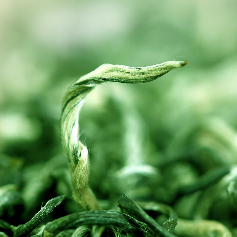 新茶一杯香明前苏州碧螺春250g茶叶绿茶自己喝正品官方旗舰店