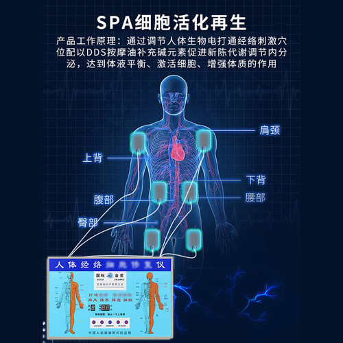人体经络细胞修复仪生物电理疗经络电疗仪酸碱按摩器平衡疏通 - 图1