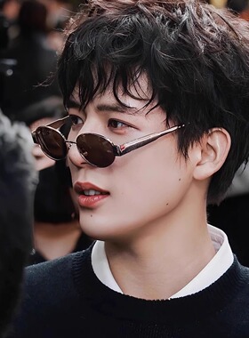 椭圆形墨镜男个性遮阳偏光驾驶镜