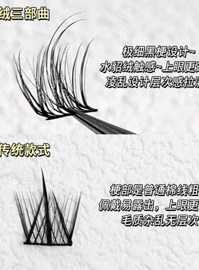 5D水貂毛凌乱感假睫毛三部曲