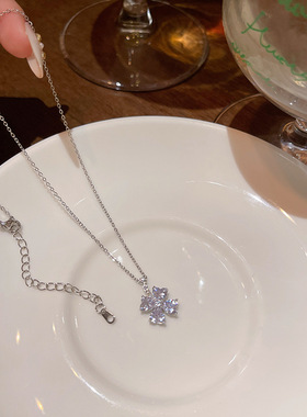 春夏超闪锆石花朵钛钢项链女轻奢小众高级感百搭气质钛钢锁骨链