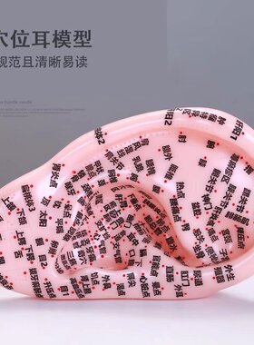 针灸耳模型多穴位耳膜型刻字版模型字迹不脱落18厘米右耳反射区