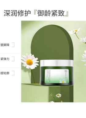栖花里亚马逊白泥膜金盏花洋甘菊