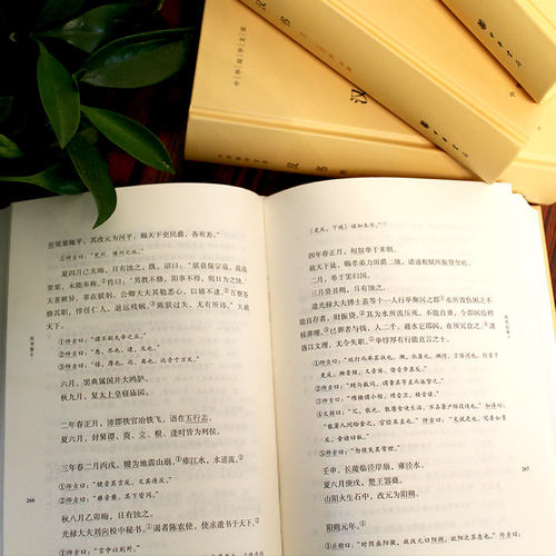 正版 汉书 中华书局 班固原著全套4册足本全录精装简体横排原文注释 中华国学文库 颜师古注释本 中国通史历史国学书籍 - 图2