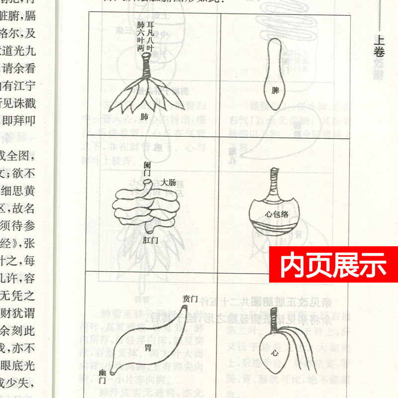 正版医林改错原文全集中医临床必读丛书清王清任李小荣李天德张学文整理王氏气血脏腑学说中医临床诊疗经验医案验方人民卫生出版社 - 图2