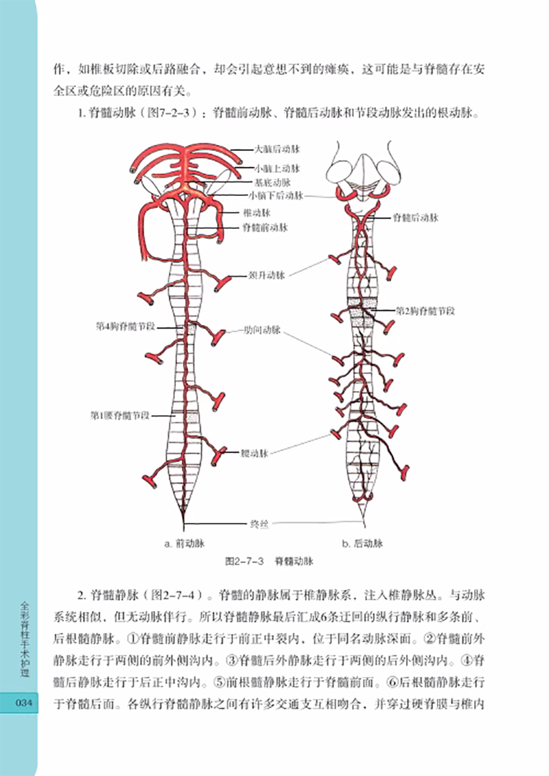 全彩脊柱手术护理 手术室亚专科护理系列教材 脊柱手术专科护士培训 脊柱手术间设计与配置 等 湖南科学技术出版社9787571019259 - 图2