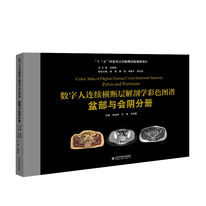 数字人连续横断层解剖学彩色图谱盆部与会阴分册林祥涛王青吴凤霞断层标本彩色图像螺旋CT图像山东科学技术出版9787572306785-图0